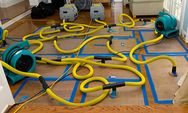 Professional Basement Flood Cleanup technician working in Dayton, MD